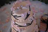 Wedding Planner Austin TX